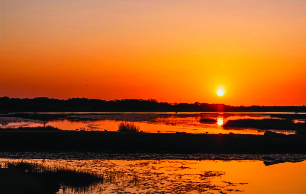 Vibrant orange and gold African sunset reflecting on calm wetland water at dusk in South Africa
